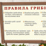 Лесное мясо - Газета Время