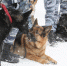 <a href="http://liveangarsk.ru/files/news/493617/be0-p1c6r0ts9f1m331gct1tl61tebk2i4.jpg">Скачать оригинал</a> - LiveAngarsk.Ru