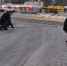 Снег  не заметили - Газета Время