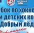 Иркутская область присоединилась к программе по развитию детского хоккея с шайбой «Добрый лед» - LiveAngarsk.Ru