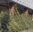 <a href="http://liveangarsk.ru/files/news/548282/324-p1drnj32cinm3cnr1aoh1q39c674.jpg">Скачать оригинал</a> - LiveAngarsk.Ru
