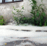 <a href="http://liveangarsk.ru/files/news/558704/bc5-p1eabqe7cu1e2em865muo8u1e6c4.jpg">Скачать оригинал</a> - LiveAngarsk.Ru