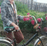 <a href="http://liveangarsk.ru/files/news/559626/9fd-p1ec2t7gne1kd91vum9nj178icjb5.png">Скачать оригинал</a> - LiveAngarsk.Ru