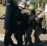 <a href="http://liveangarsk.ru/files/news/563152/ce9-p1ei89jo8f1ipd1pm01613nv9ju14.jpg">Скачать оригинал</a> - LiveAngarsk.Ru