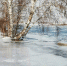 <a href="http://liveangarsk.ru/files/news/571165/5cf-p1euqk7ond1ma1l68odn1su58384.jpg">Скачать оригинал</a> - LiveAngarsk.Ru
