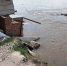 Большая вода не должна прийти в ангарские садоводства, но к эвакуации людей всё готово - Газета Свеча