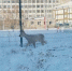 <a href="http://liveangarsk.ru/files/news/583834/a45-p1fnbcg6051jdkpnpnaq1iuc1hrb4.jpg">Скачать оригинал</a> - LiveAngarsk.Ru