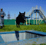 <a href="http://liveangarsk.ru/files/news/590991/4d5-p1gafnkcsj1rg02lh5r3ih8cbb4.jpg">Скачать оригинал</a> - LiveAngarsk.Ru