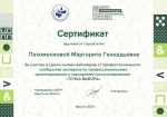Точка выбора
