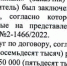 Ангарчане 8 лет боролись с администрацией и фирмой семьи мэра за сосновую рощу — проиграли - LiveAngarsk.Ru