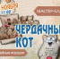 МАСТЕР-КЛАСС «ЧЕРДАЧНЫЙ КОТ» - ЦБС г. Ангарска